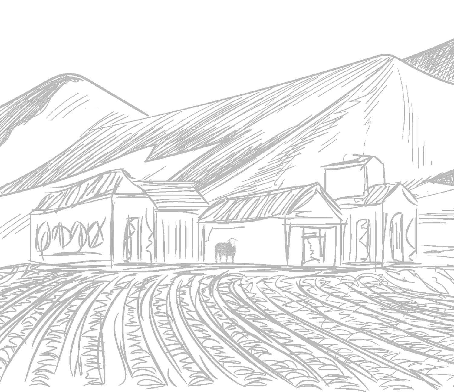 Helderzicht Farm